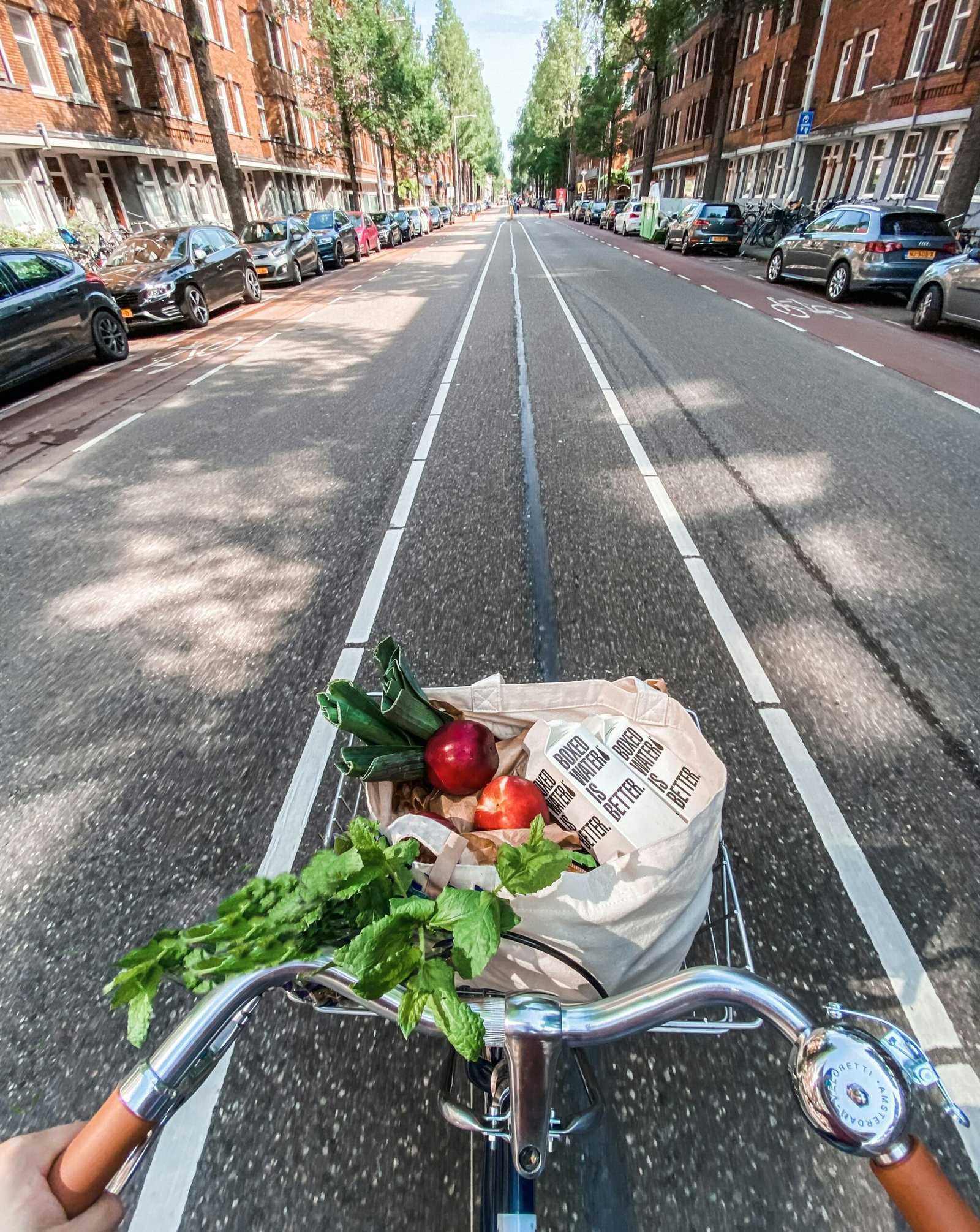 red roses in brown cardboard box on bicycle